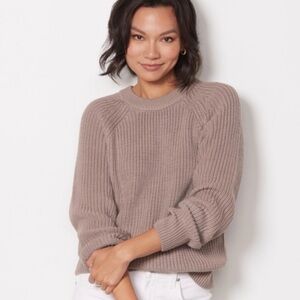 Evereve Ava Classic Knit Pullover Sweater in Mauve Mushroom Size XL